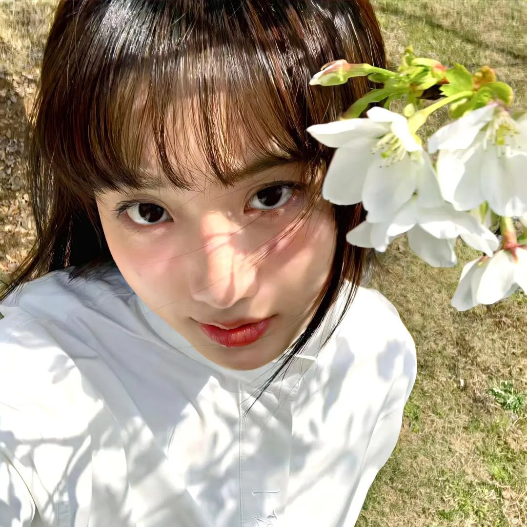 我的老婆是只猫